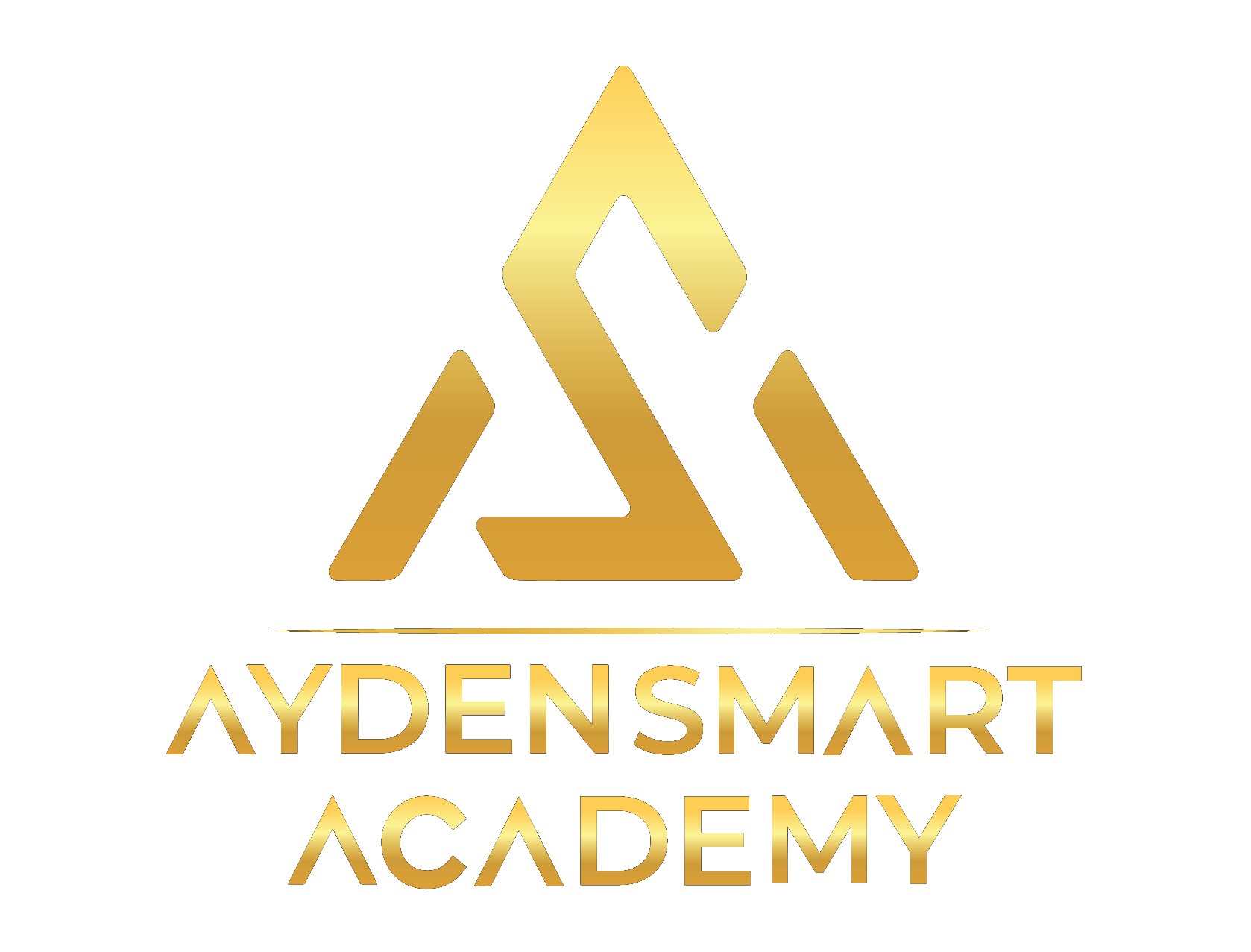 Ayden Smart Academy